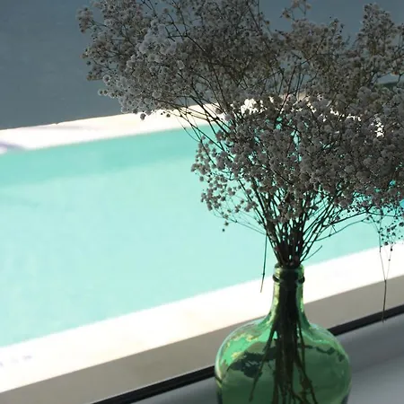 Guadalupe Boutique Hotel *